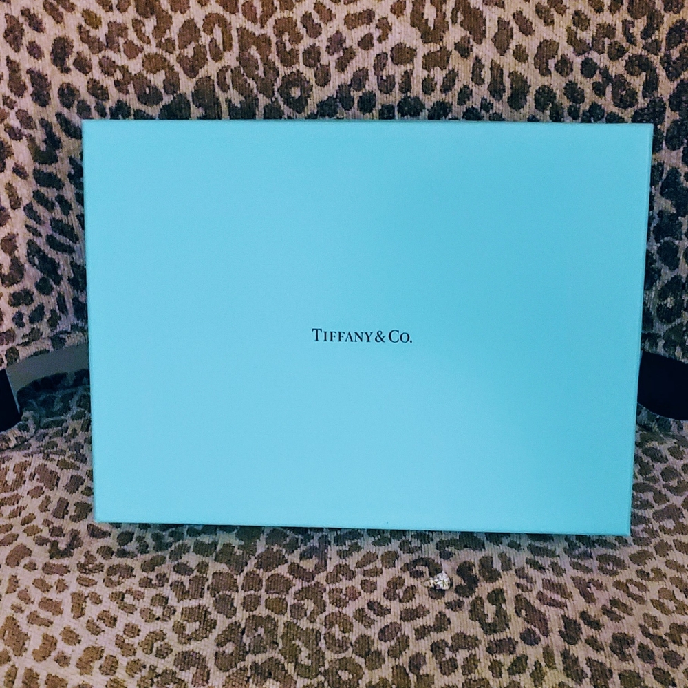 Tiffany & Co Large Gift Box with Tissue Paper
